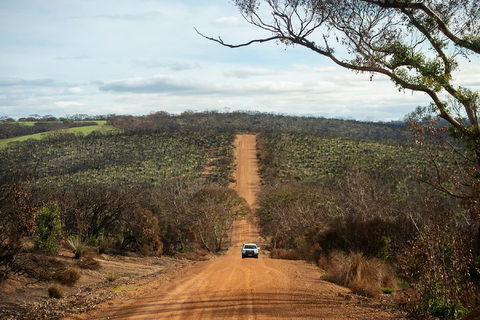 NEW TOUR - Kangaroo Island Road To Recovery Tour (1 Day/1 Night) - Tourism Guide 2