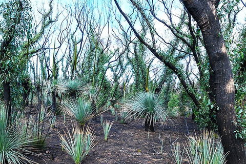 NEW TOUR - Kangaroo Island Road To Recovery Tour (1 Day/1 Night) - Tourism Guide 3