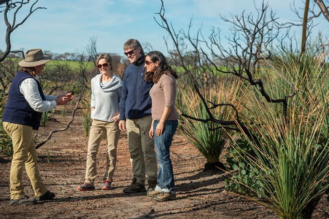 NEW TOUR - Kangaroo Island Road To Recovery Tour (1 Day/1 Night) - Tourism Guide 4