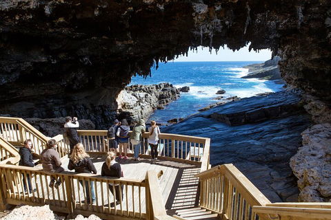 Full Day Flinders Chase Tour From Kangaroo Island - Cruises Travel 1