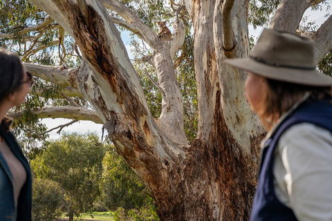 Full Day Flinders Chase Tour From Kangaroo Island - Cruises Travel 5