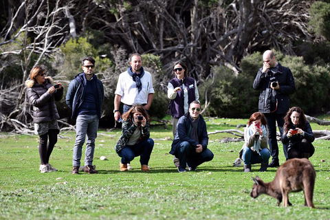 Small-Group Kangaroo Island 4WD Tour From Adelaide - Tourism Guide 2