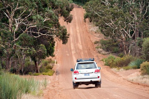 Small-Group Kangaroo Island 4WD Tour From Adelaide - Tourism Guide 3