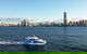 Whale Watching By Sea World Cruises - thumb 1