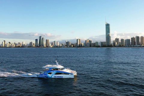 Whale Watching By Sea World Cruises - Tourism Guide 1