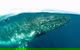 Whale Watching By Sea World Cruises - thumb 2