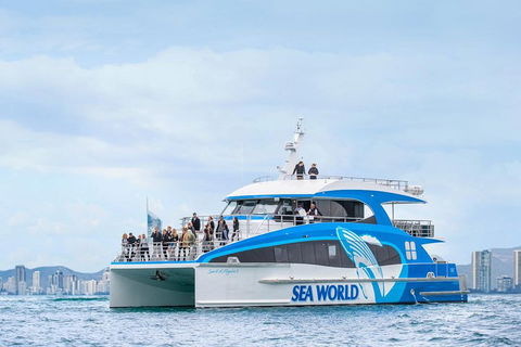 Whale Watching By Sea World Cruises - Tourism Guide 3