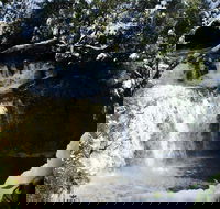 Cradle Mountain Day Tour from Launceston Including Lunch - Tourism Guide