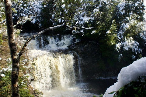 Cradle Mountain Park Explorer Guided Tour - Cruises Travel 4