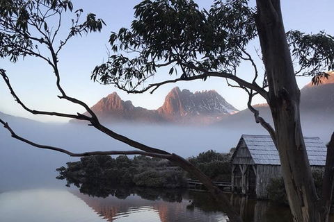 Cradle Mountain Park Explorer Guided Tour - Cruises Travel 5