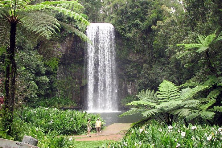Wangetti QLD Cruises Travel