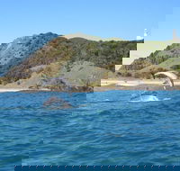 Kayaking with Dolphins in Byron Bay Guided Tour - Tourism Guide