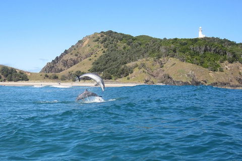 Kayaking With Dolphins In Byron Bay Guided Tour - Travel Agents 0