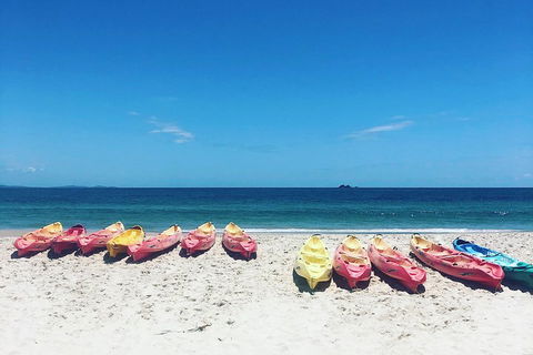 Kayaking With Dolphins In Byron Bay Guided Tour - Travel Agents 1