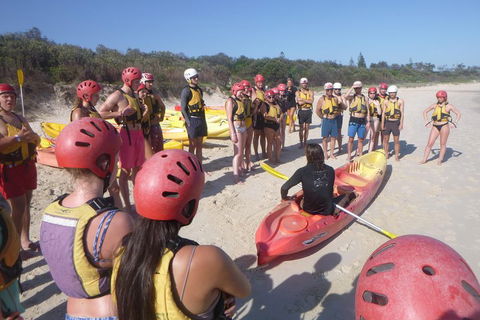Kayaking With Dolphins In Byron Bay Guided Tour - Travel Agents 2