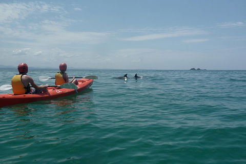 Kayaking With Dolphins In Byron Bay Guided Tour - Travel Agents 4
