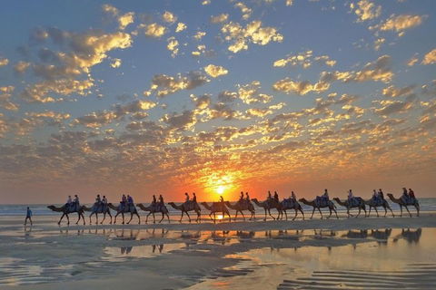 Broome City Sightseeing Tour With Optional Camel Ride - Travel Search 1