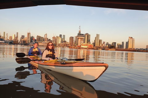 Melbourne Sunset Kayaking Experience With Dinner - Travel Search 3