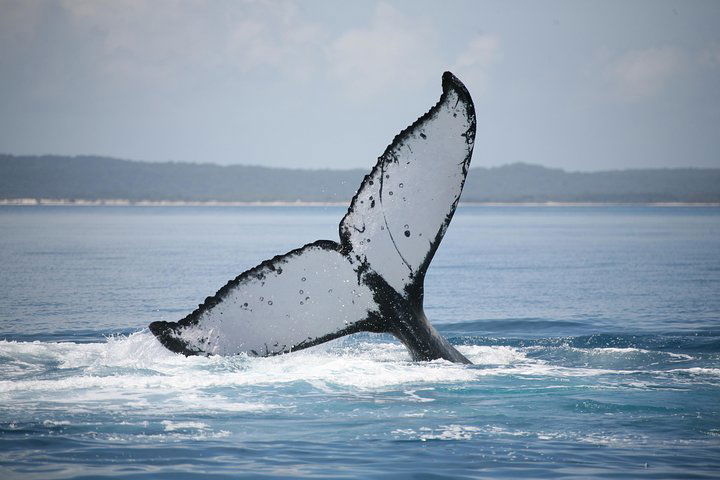 Dundowran QLD Tourism Guide
