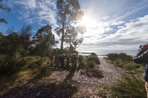 Bruny Island Day Tour, Includes Lunch And Exclusive Lighthouse Tour - Travel Agents 5