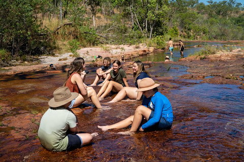 Litchfield National Park Waterfalls And Wildlife Tour From Darwin - Travel Agents 1