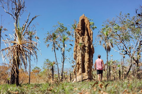 Litchfield National Park Waterfalls And Wildlife Tour From Darwin - Travel Agents 4