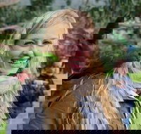 Great Ocean Road Reverse Itinerary with 12 Apostles from Melbourne - Tourism Guide