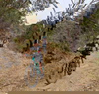 Mount Lofty Descent Bike Tour from Adelaide - Tourism Guide