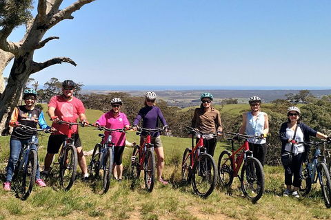 McLaren Vale Wine Tour By Bike - Tourism Guide 2