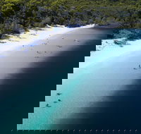 All-Inclusive Fraser Island Day Tour - Tourism Guide
