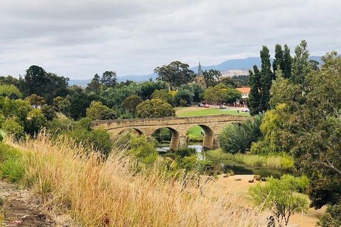 Day Tour In Mt. Field, Mt. Wellington, Bonorong Wildlife Sanctuary And Richmond - Travel Search 3