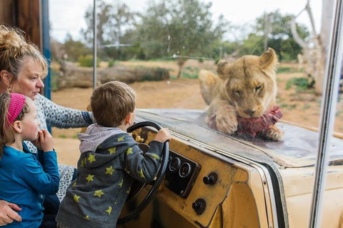 Werribee Open Range Zoo General Admission Ticket - Tourism Guide 4