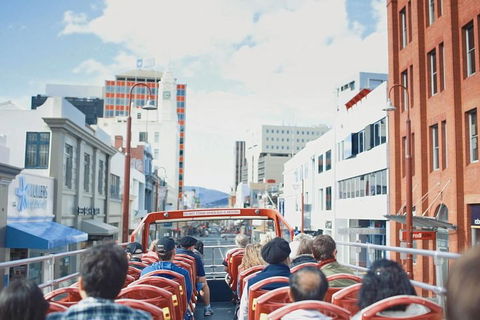 Hobart Hop-on Hop-off Bus Tour - Cruises Travel 2