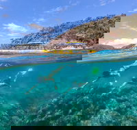 Great Barrier Reef Scenic Flight and Ocean Rafting Whitehaven Beach Day Trip - Tourism Guide