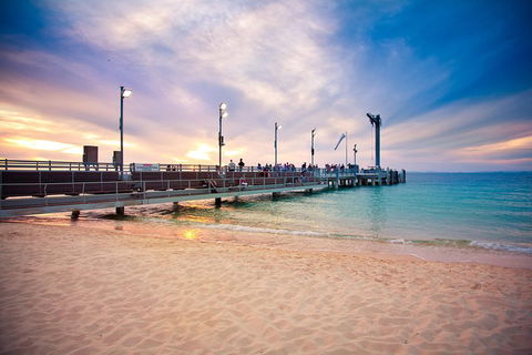 Tangalooma Island Resort Whale Watching Day Cruise With Dolphin Viewing - Travel Agents 3