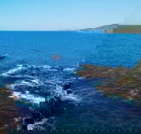 Julian Rocks Byron Bay Cruise - Tourism Guide