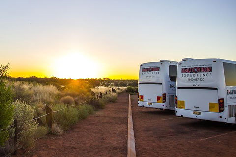 Uluru And Kata Tjuta Experience With BBQ Dinner - Travel Search 2