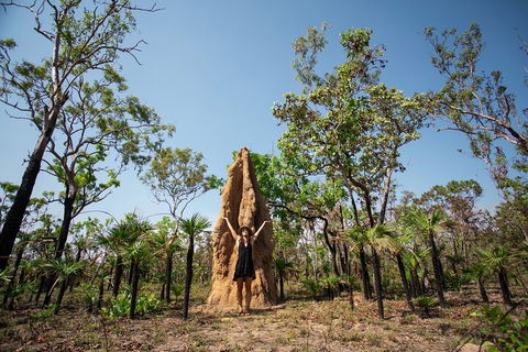 Litchfield National Park - Top End Day Tour From Darwin - Tourism Guide 5
