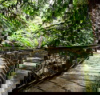 12 Apostles Eco-Friendly Great Ocean Road Iconic Adventure from Melbourne - Tourism Guide