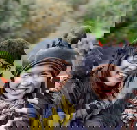 Small-Group Great Ocean Road and 12 Apostles Full-Day Tour from Melbourne - Tourism Guide