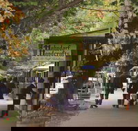 Adelaide Highlights Hahndorf  McLaren Vale Wine Tasting and Sightseeing Tour - Tourism Guide