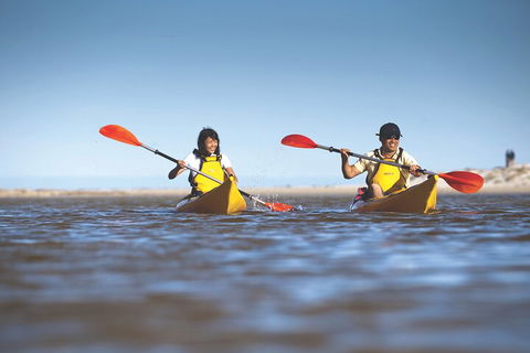 Kangaroo Island Self-Guided Kayaking On The Harriet River - Tourism Guide 2