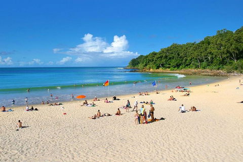 Noosa Everglades Serenity Cruise & Highlights Tour Inc. Lunch & Cruise - Tourism Guide 4