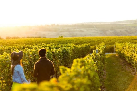 Margaret River Private Tour - Tourism Guide 2