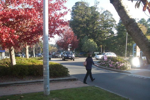 PRIVATE All-Day Blue Mountains Tour With Professional Guide For Up To 4 People - Travel Search 1