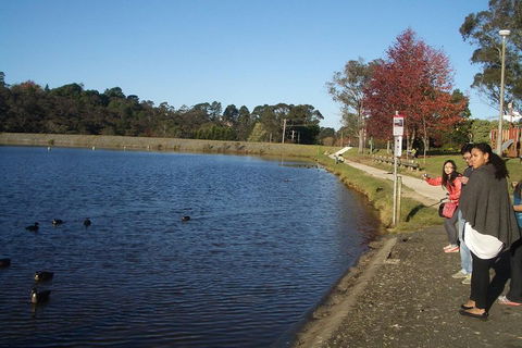 PRIVATE All-Day Blue Mountains Tour With Professional Guide For Up To 4 People - Travel Search 2