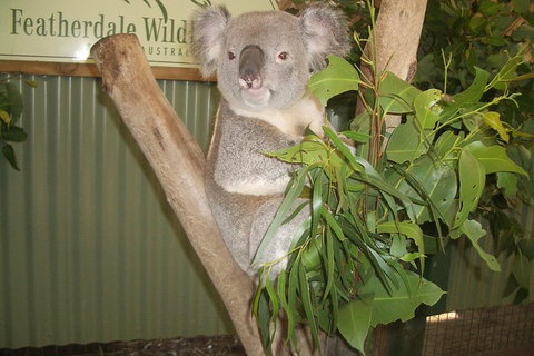 Blue Mountains Private Full-Day Tour From Sydney With Cruise - Tourism Guide 0