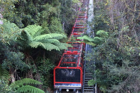 Blue Mountains Private Full-Day Tour From Sydney With Cruise - Tourism Guide 5