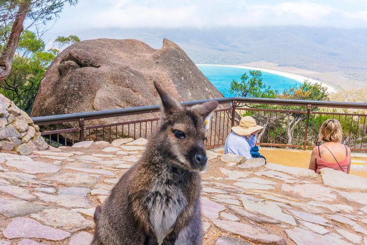  Tourism Guide