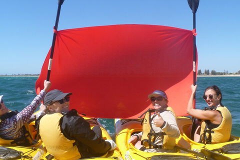 Seal Island And Penguin Island Or Point Peron Sea Kayak Tour - Tourism Guide 2